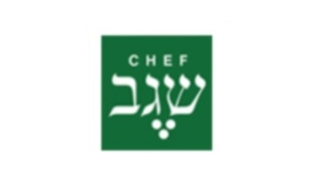 שגב